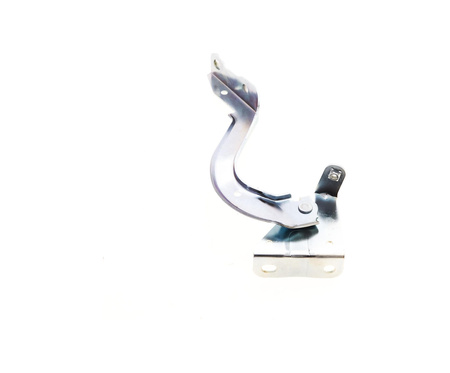 Zawias maski strona prawa