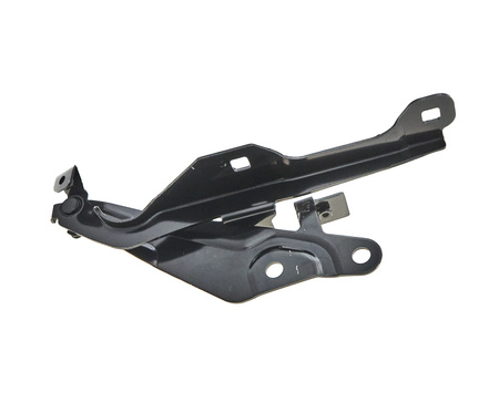 Zawias maski strona lewa