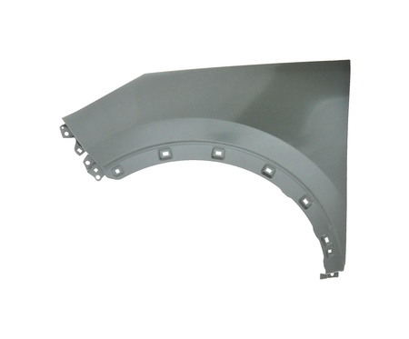 Błotnik strona lewa