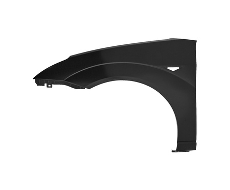 Błotnik strona lewa