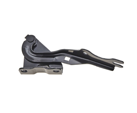 Zawias maski strona lewa