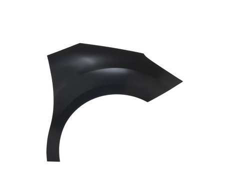 Błotnik strona prawa