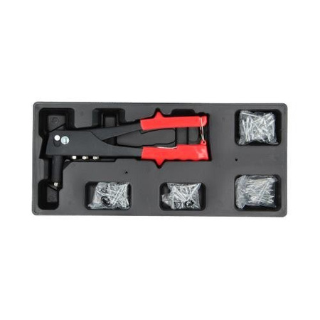 Wkład Ne00200 Nitownica + Zestaw Nitów