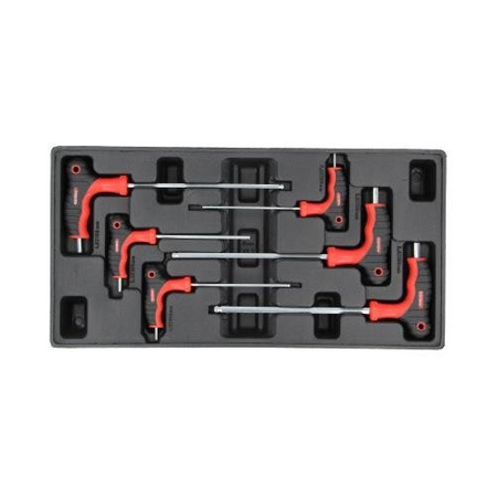 Wkład Ne00200 6-El. Śrubokręty "T" Hex