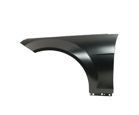 Błotnik strona lewa