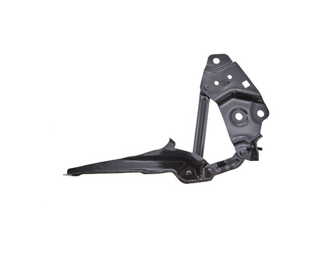 Zawias maski strona lewa