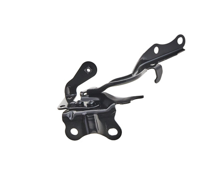 Zawias maski strona lewa