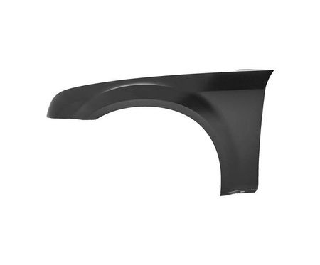 Błotnik strona lewa