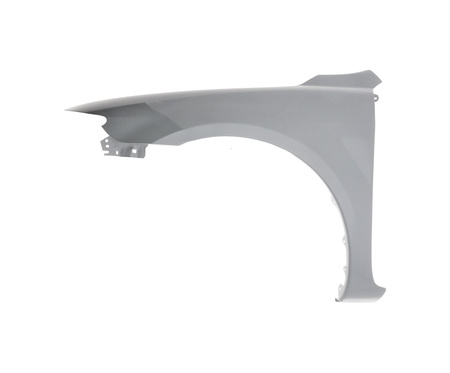 Błotnik strona lewa