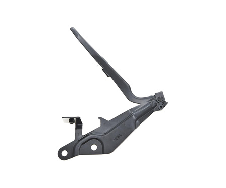 Zawias maski strona lewa