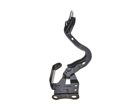 Zawias maski strona lewa