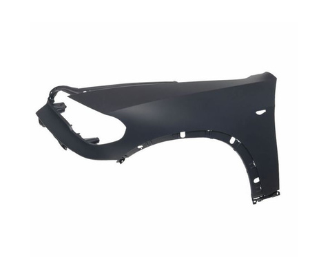 Błotnik strona lewa