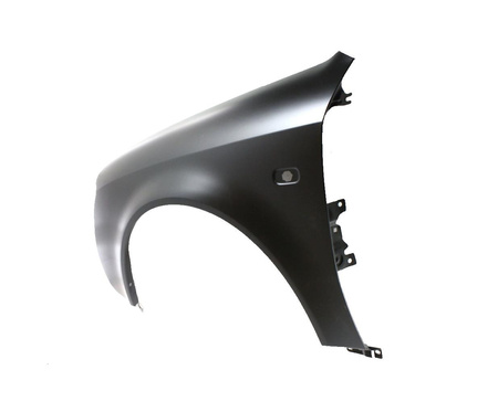 Błotnik strona lewa