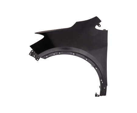 Błotnik strona lewa