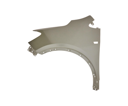 Błotnik strona lewa